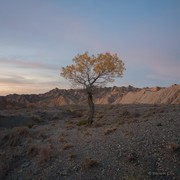 奖池超100万，哈苏大师赛 2026 开启全球征稿