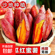 沙地西瓜红蜜薯2斤中大果5.99元包邮
