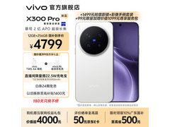 vivo X300 Pro 12G+256G直降550