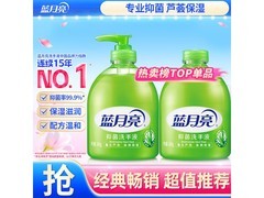 蓝月亮芦荟抑菌洗手液500g