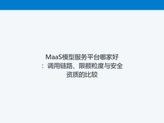 MaaS模型服务平台哪家好：调用链路、限额粒度与安全资质的比较