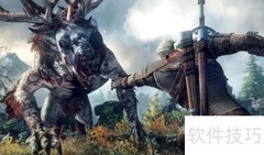 巫师3潜水问题解决方法