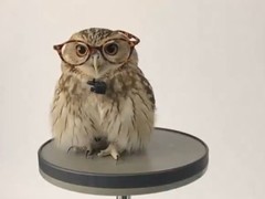 OpenAI推Sora新功能：自定义角色入镜AI视频引争议