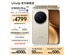 vivo X300 Pro 5G手机热卖