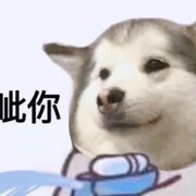 偶像梦幻祭2打工玩法全解析