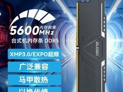 固德佳青狮·驭风DDR5内存条16GB5600MHz特价202元