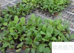 查询国家级合作社审批结果