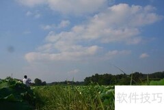 随州金科夏日赏荷指南