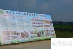 随州金科夏日赏荷指南