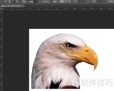 PS快速转换PNG为JPEG