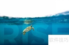 rise的过去式与过去分词解析