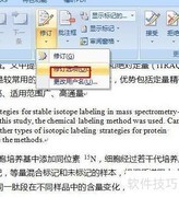 Word 2007文档修订技巧