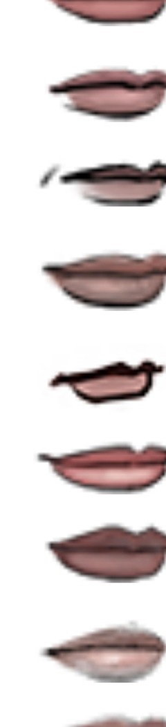 诸神皇冠：塞宁王族面相识别