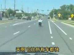 美男子驾改装电动轮椅飙至64公里/小时引热议