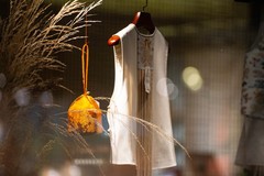 漫游北京扫街路线推荐：从五道营到北海，用镜头捕捉京味烟火与古都秋色