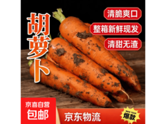 2026新鲜现挖2斤沙地胡萝卜，券后3.98元速抢！