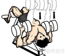 哑铃健身全攻略