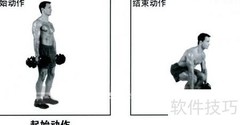 哑铃健身全攻略