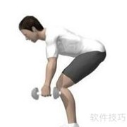 Bowflex哑铃高效健身指南