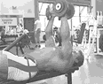 哑铃健身入门必学动作