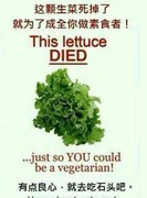 希望之村：全攻略合集