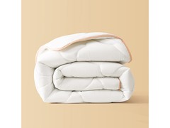 百丽丝加厚冬被79元抢