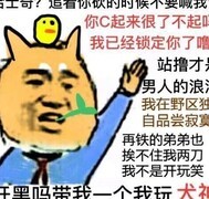 决战！平安京上单暴击流玩法