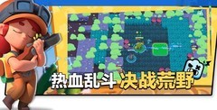 荒野乱斗：萌新必备27条实战技巧