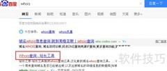 查询域名所有人及过期时间