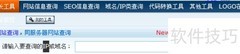 同IP网站域名查询工具