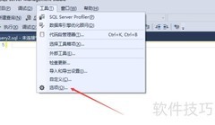 SQL Server SSMS显示标记方法