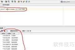 SQL基础查询入门