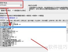 眼神速读软件使用技巧