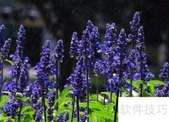 祛斑正确方法及注意事项