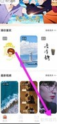 查看楚诚壁纸用户协议
