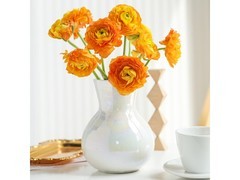 新鲜现采风铃花，领券到手仅14.9元