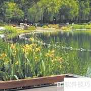 社区治理新路径