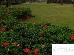 生态园林设计与营造技术