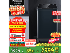 松下10KG全自动波轮洗衣机