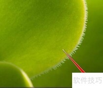 鲁大师系统瘦身技巧
