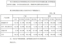 赛力斯9月销量同比增长 年累计销量仍下滑
