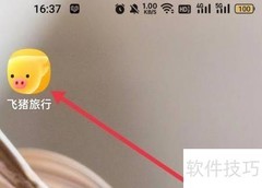 飞猪如何查火车票