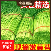 京喜自营2斤装新鲜蒜苔，用券满减到手仅14.01元