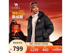 骆驼火山PRO鹅绒服男款519元