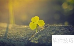 成功藏在失败背后