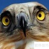 专注成就非凡人生
