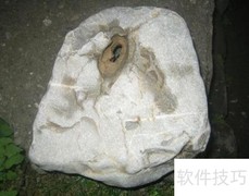 专注成就非凡人生