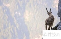 成功藏在失败背后