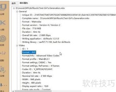 Airlltools无损转MKV到MP4