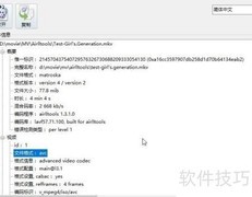 Airlltools无损转MKV到MP4